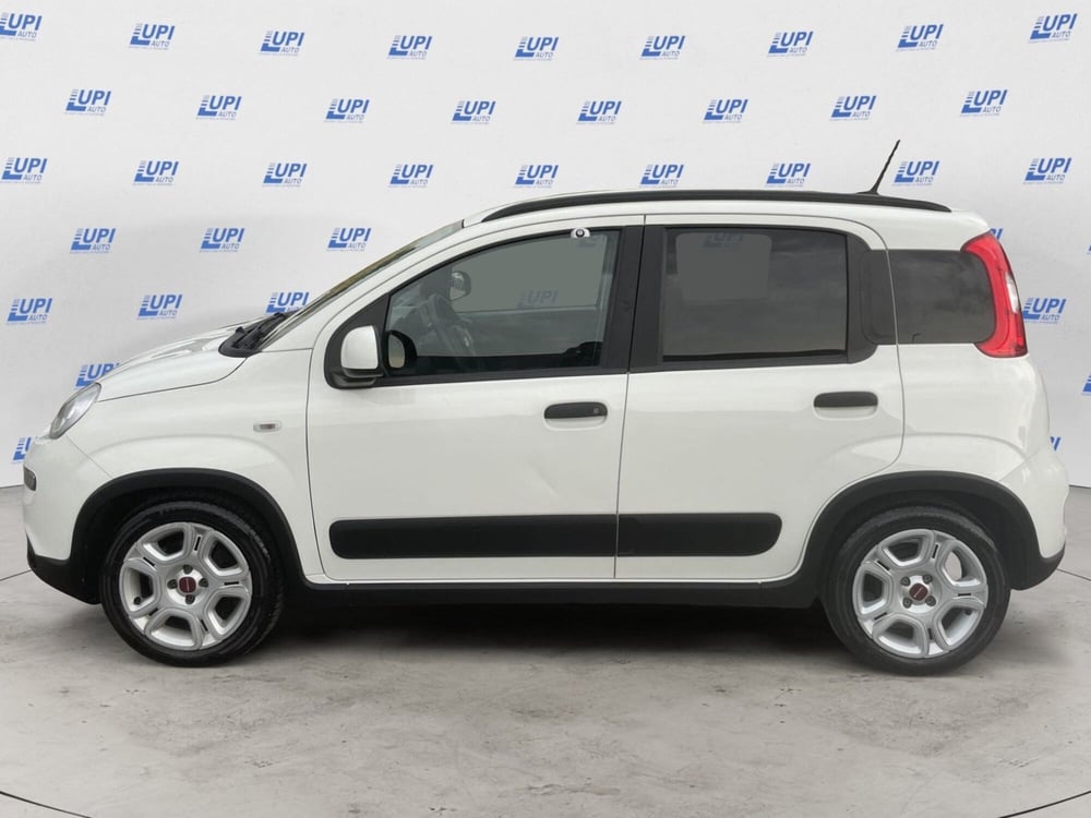 Fiat Panda usata a Pistoia (2)