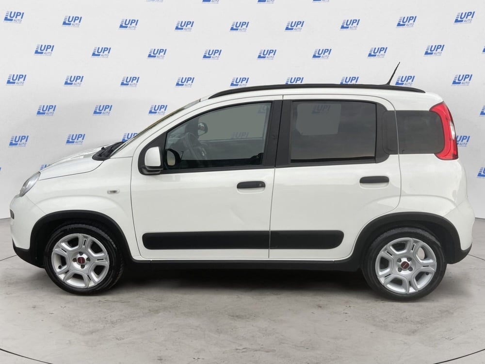 Fiat Panda usata a Pistoia (3)