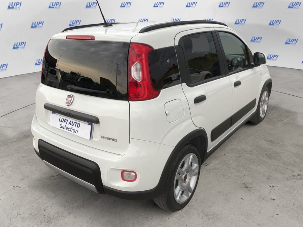Fiat Panda usata a Pistoia (7)