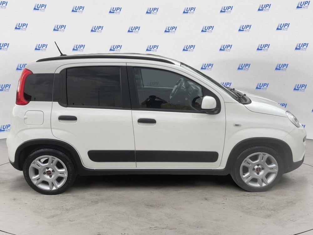 Fiat Panda usata a Pistoia (9)