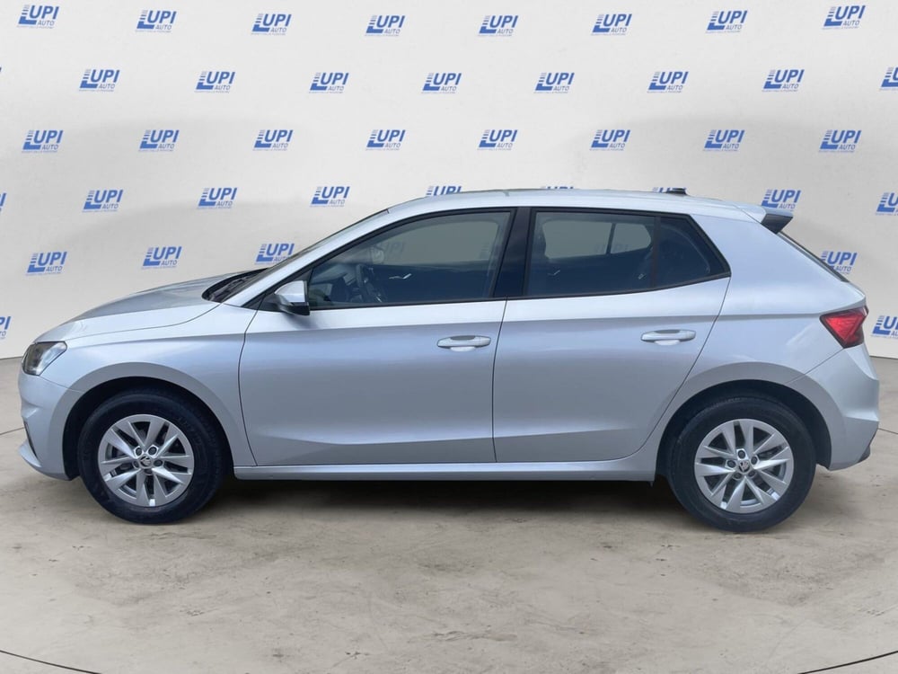 Skoda Fabia usata a Pistoia (2)