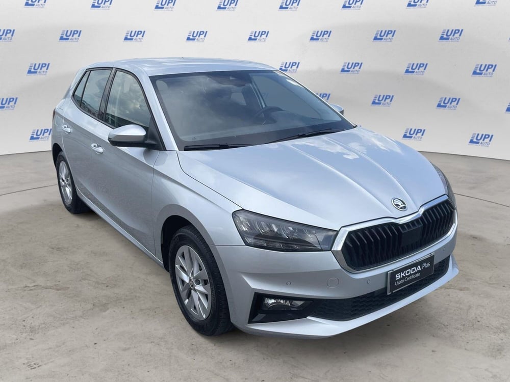 Skoda Fabia usata a Pistoia (8)