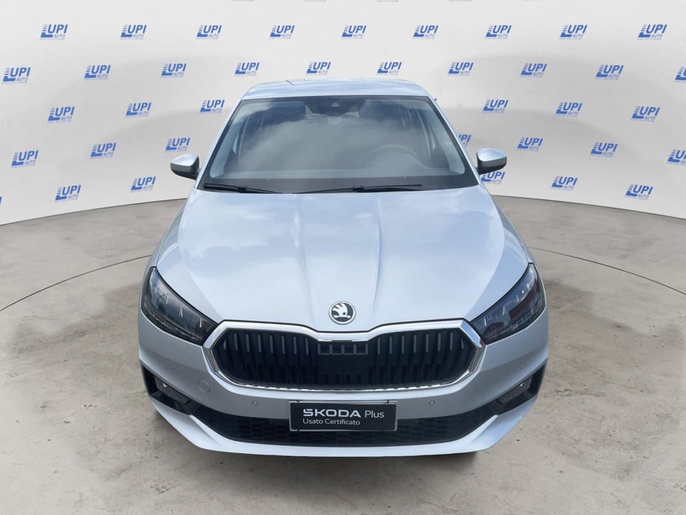 Skoda Fabia usata a Pistoia (9)