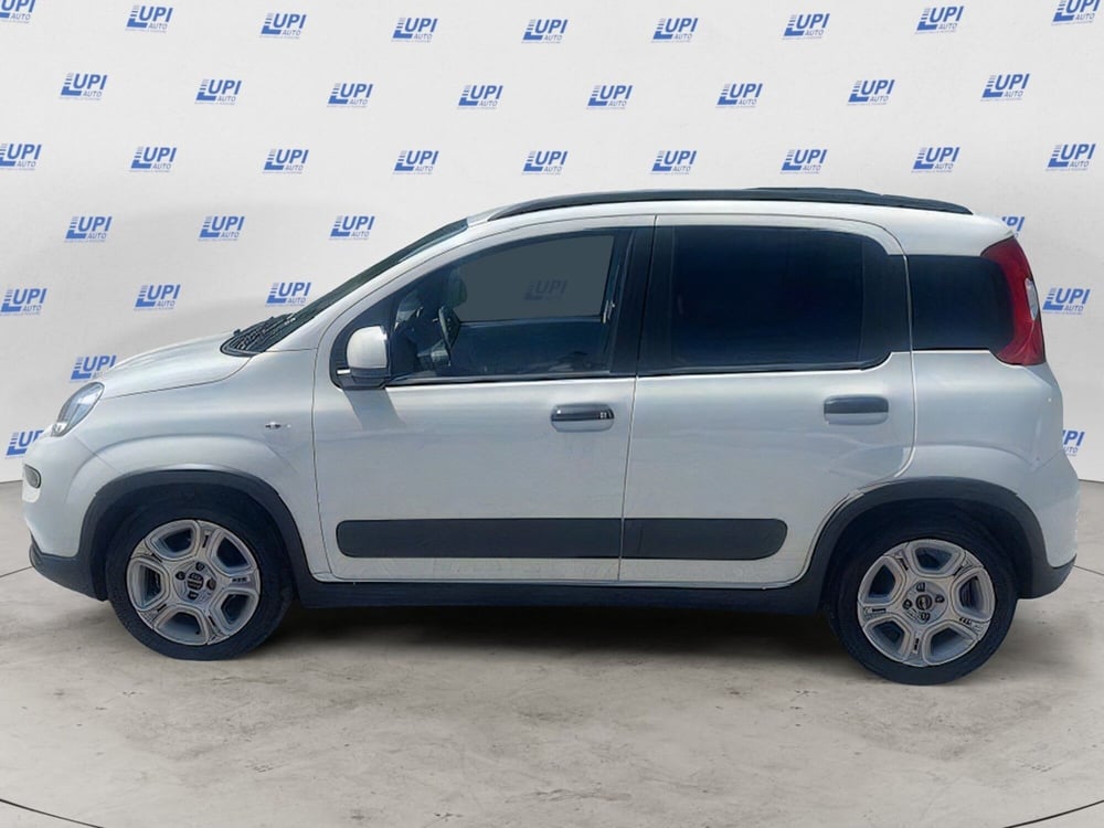 Fiat Panda usata a Firenze (2)