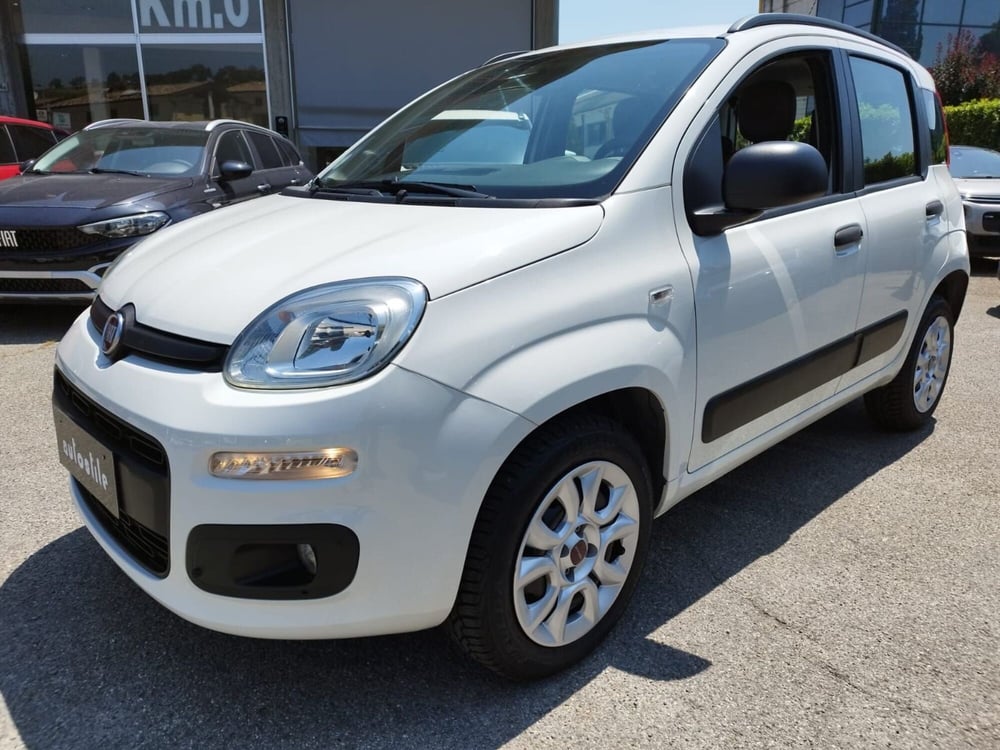 Fiat Panda usata a Reggio Emilia (2)