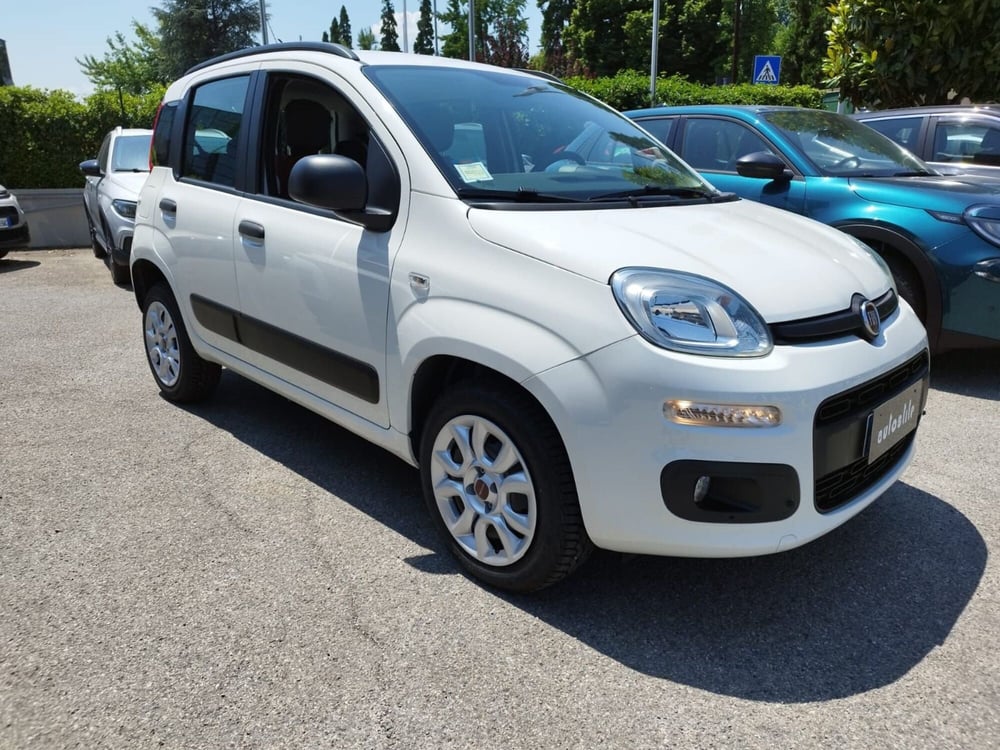 Fiat Panda usata a Reggio Emilia (4)