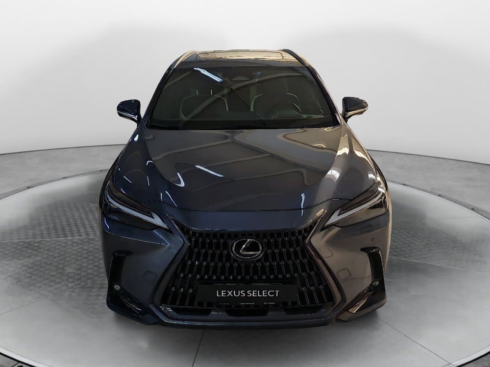 Lexus NX usata a Bologna (2)
