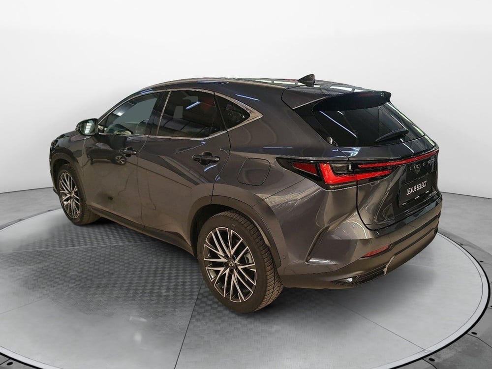 Lexus NX usata a Bologna (4)