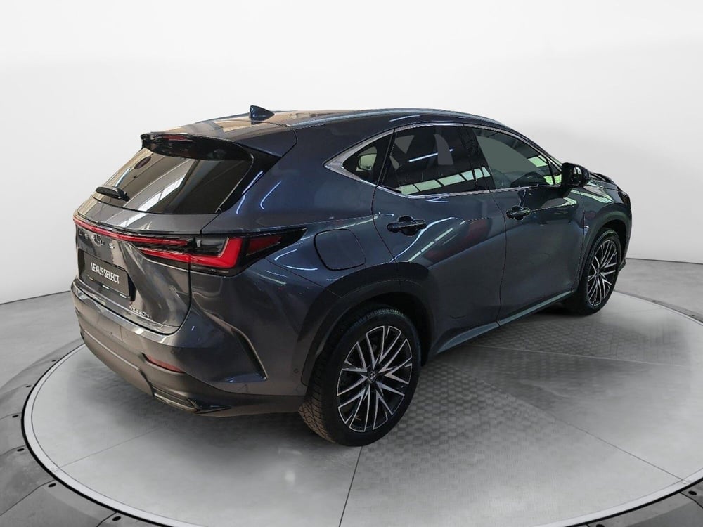 Lexus NX usata a Bologna (6)