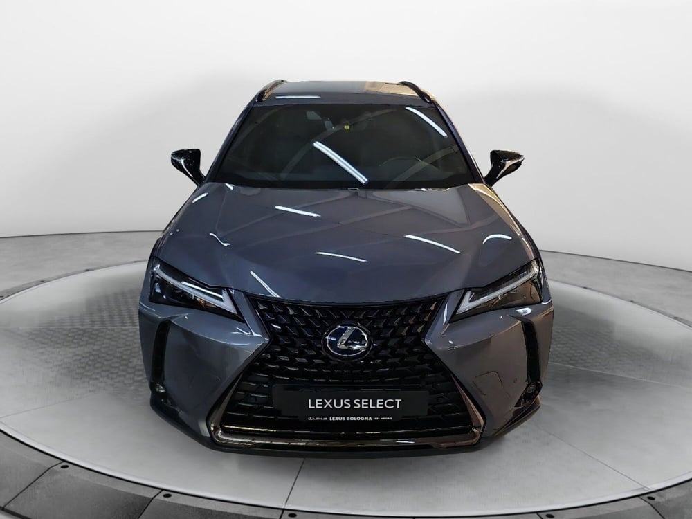 Lexus UX usata a Bologna (2)