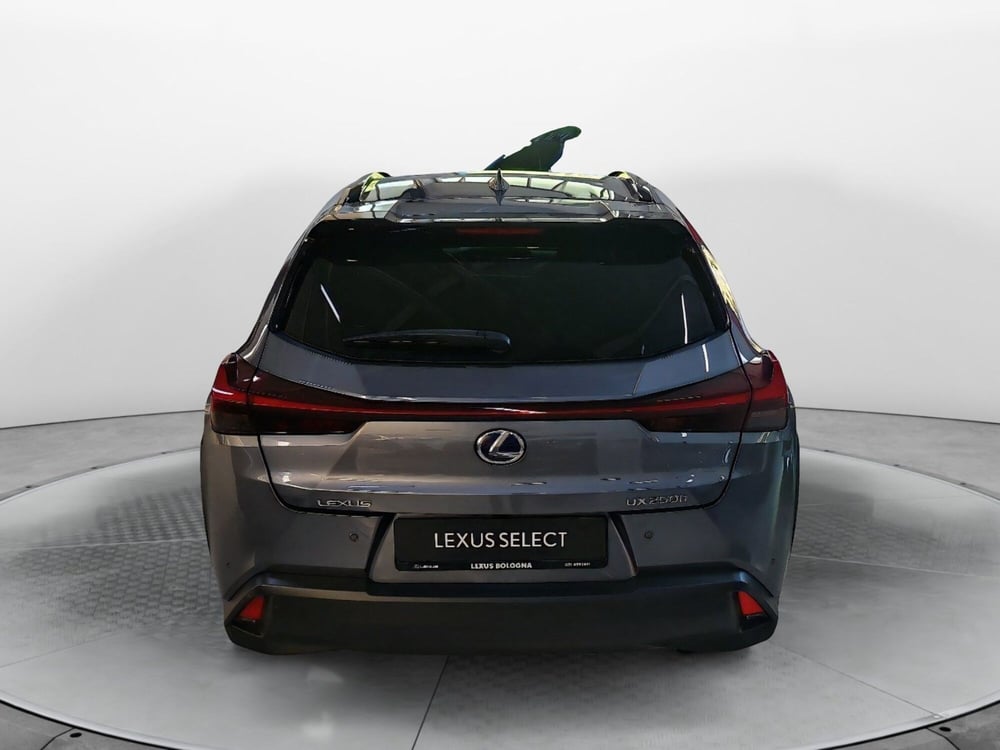 Lexus UX usata a Bologna (5)