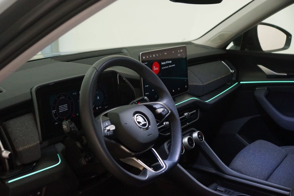 Skoda Kodiaq usata a Torino (13)
