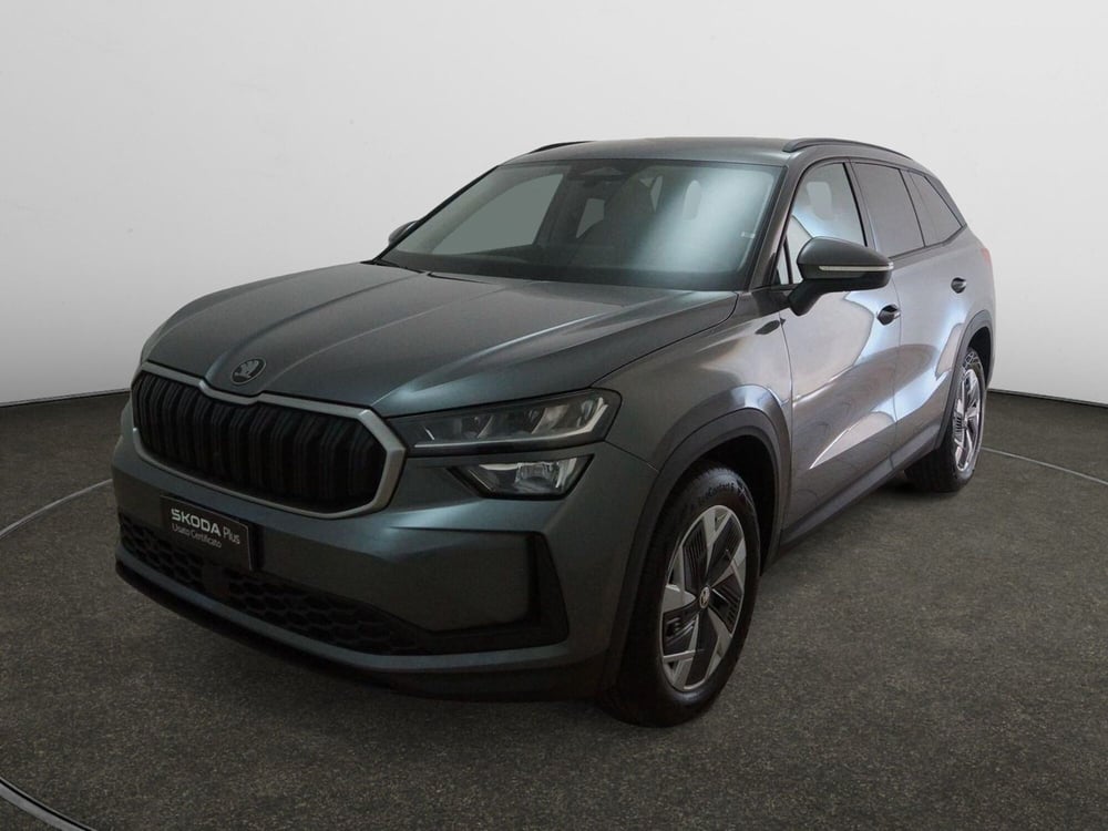 Skoda Kodiaq usata a Torino (3)