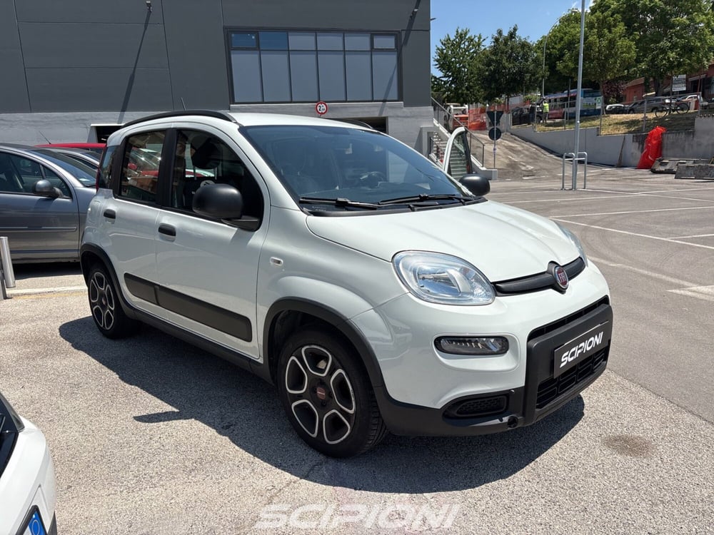 Fiat Panda usata a L'Aquila (2)