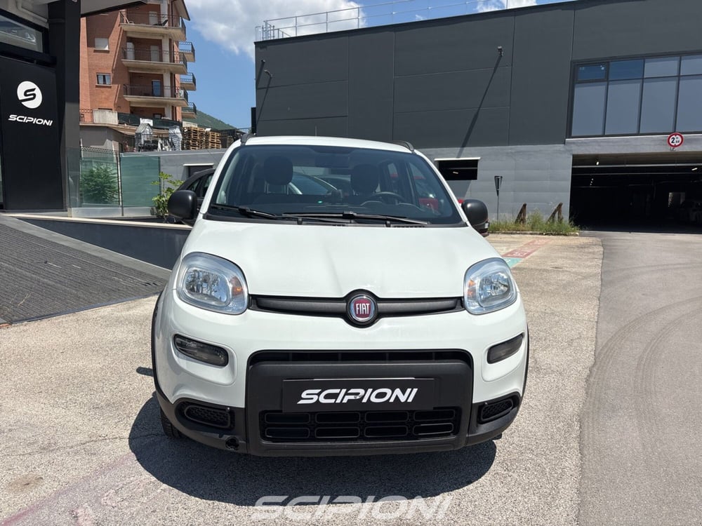Fiat Panda usata a L'Aquila (3)