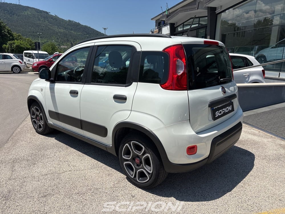 Fiat Panda usata a L'Aquila (4)