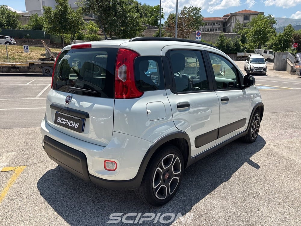 Fiat Panda usata a L'Aquila (6)