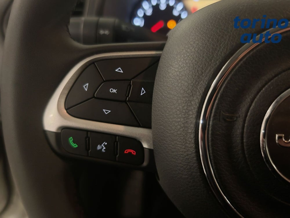 Jeep Renegade usata a Torino (13)