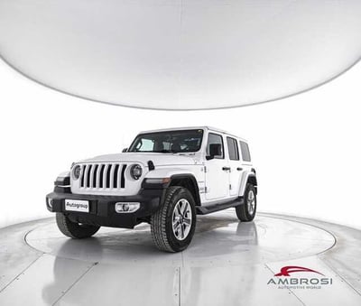 Jeep Wrangler Unlimited 2.2 Mjt II Sahara del 2019 usata a Viterbo