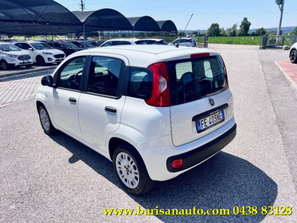 Fiat Panda usata a Treviso (4)
