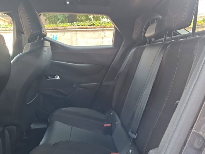 Ds DS 3 usata a Monza e Brianza (10)