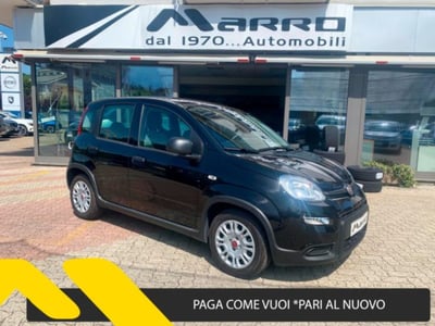 Fiat Panda 1.0 firefly hybrid s&amp;s 70cv 5p.ti del 2023 usata a Boves