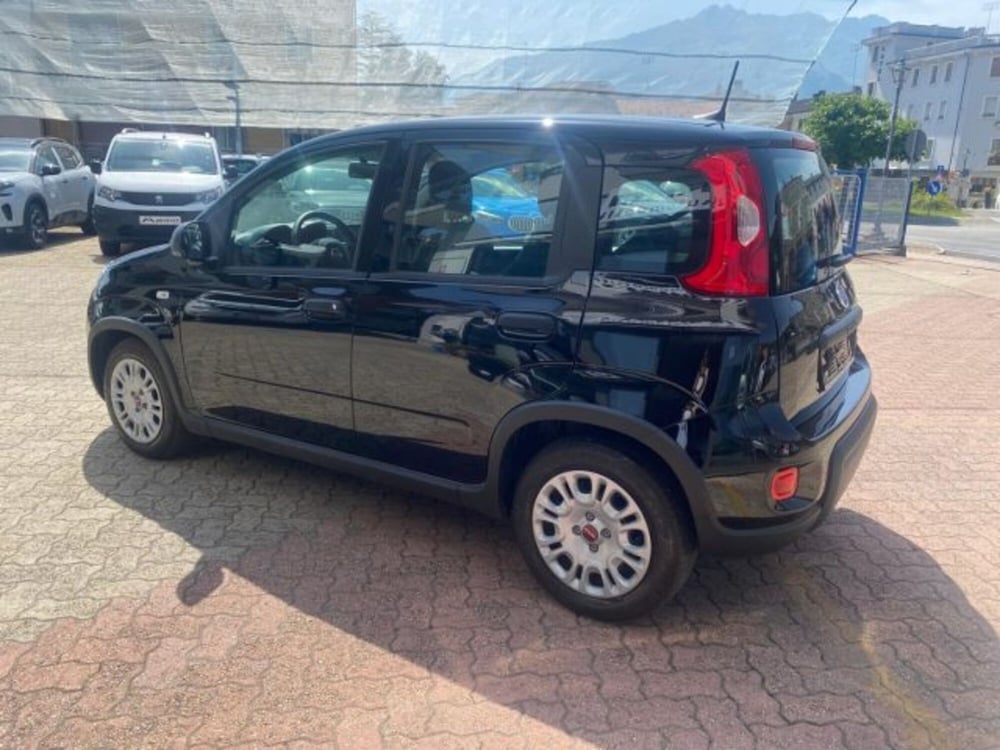 Fiat Panda usata a Cuneo (5)
