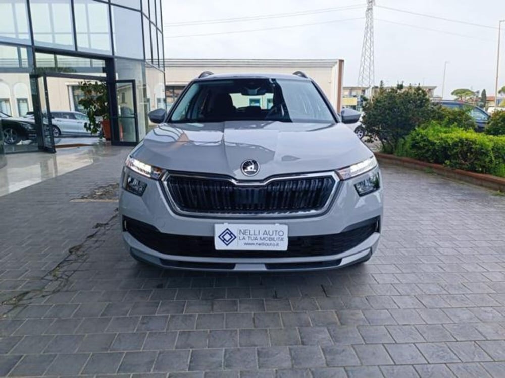 Skoda Kamiq usata a Pisa (11)