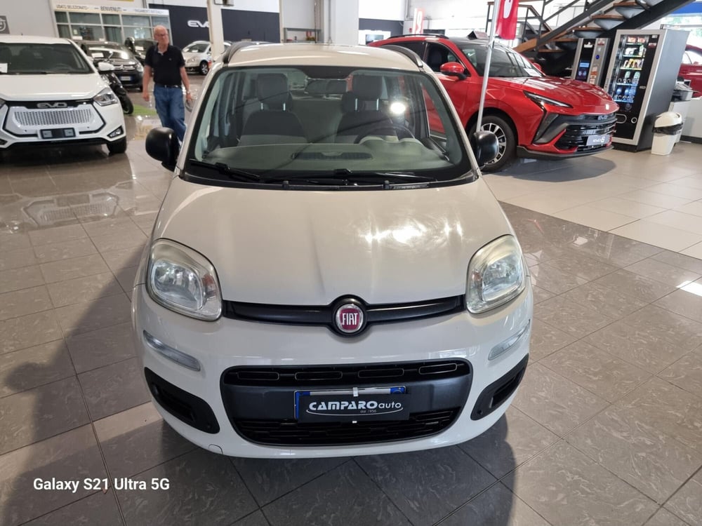 Fiat Panda usata a Alessandria