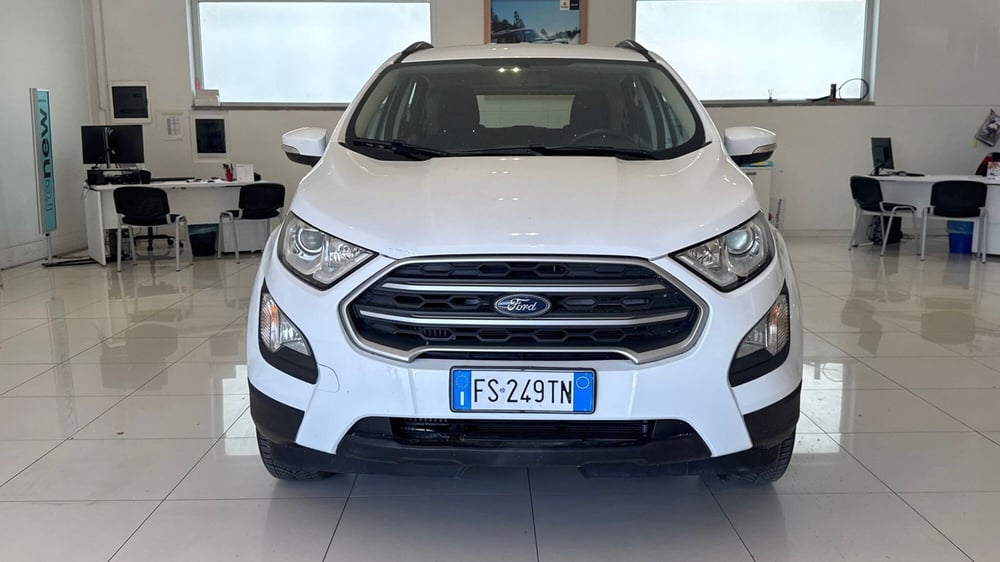 Ford EcoSport usata a Viterbo (2)