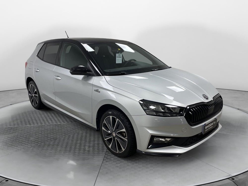 Skoda Fabia usata a Varese (3)
