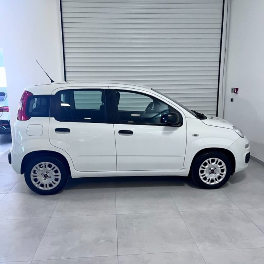 Fiat Panda usata a Oristano (11)