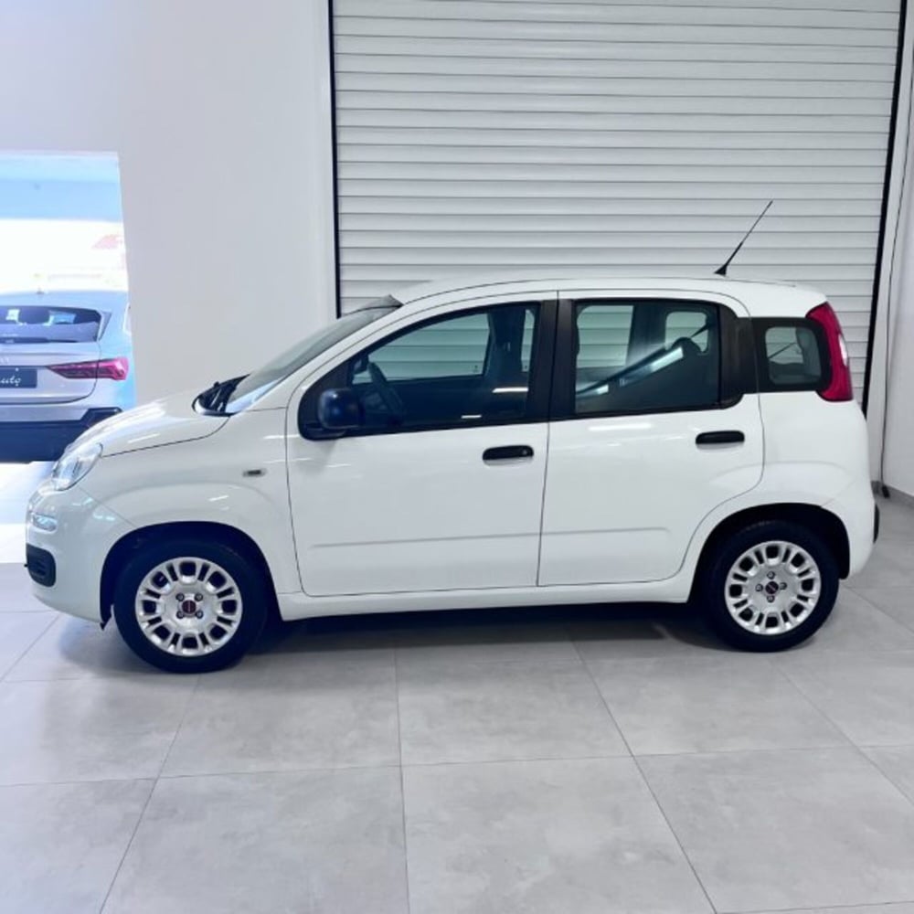 Fiat Panda usata a Oristano (4)
