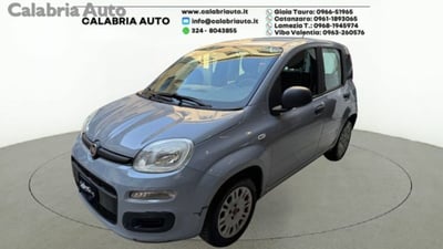 Fiat Panda 1.2 EasyPower Easy del 2018 usata a Gioia Tauro