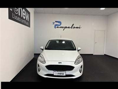 Ford Fiesta 1.1 85 CV 5 porte Titanium del 2018 usata a Siena