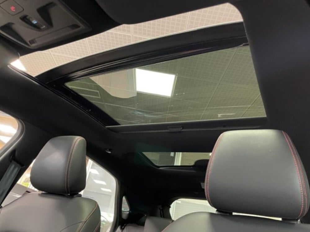 Ford Puma usata a Cuneo (9)