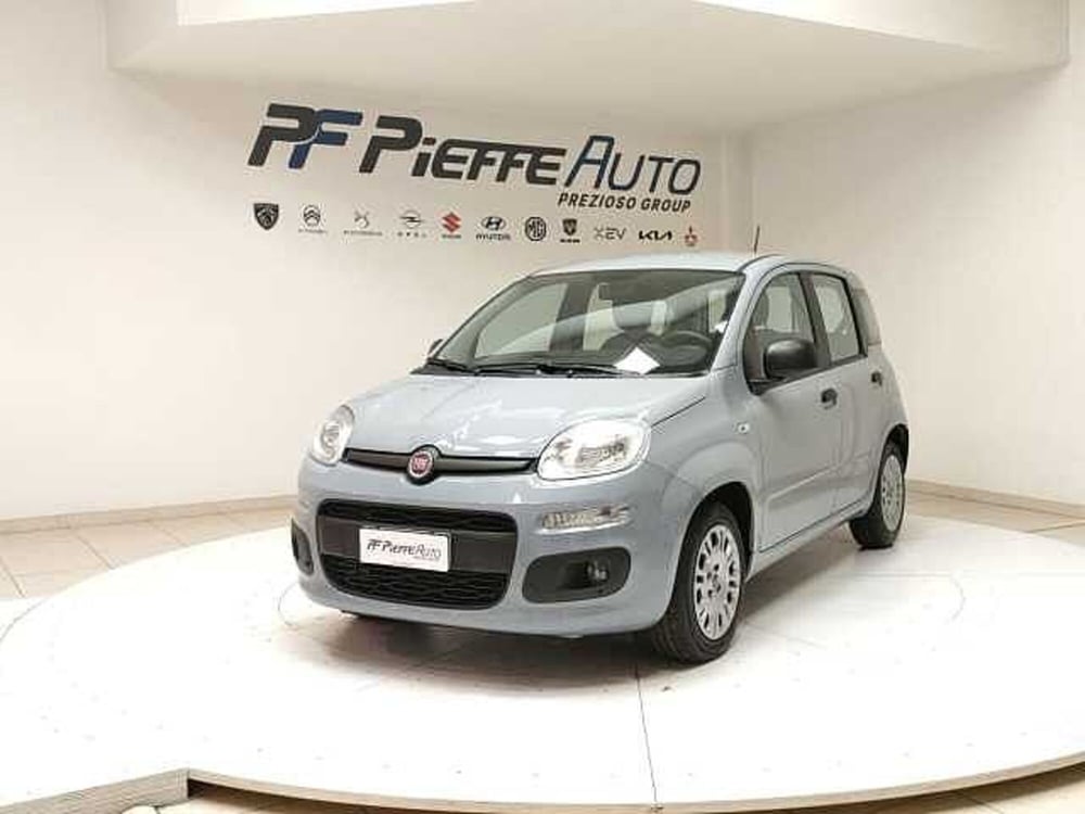 Fiat Panda usata a Teramo