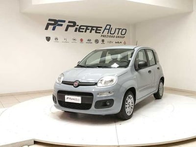 Fiat Panda 1.0 FireFly S&amp;S Hybrid Easy del 2020 usata a Teramo