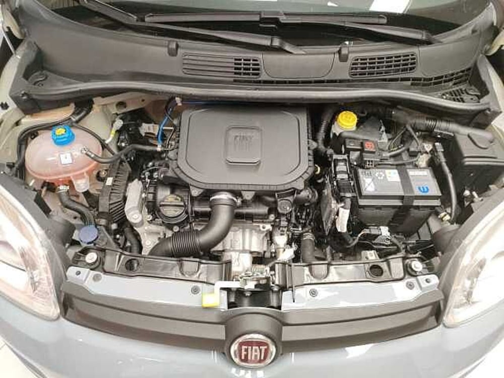 Fiat Panda usata a Teramo (10)