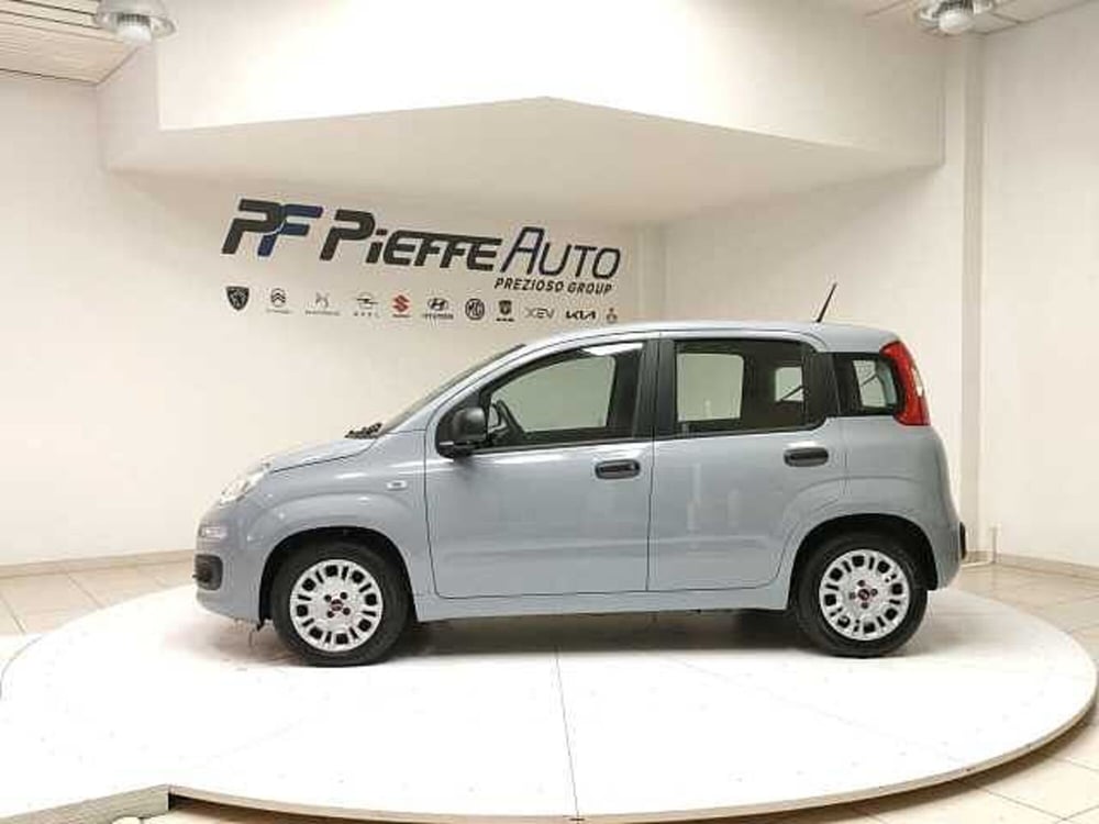 Fiat Panda usata a Teramo (2)