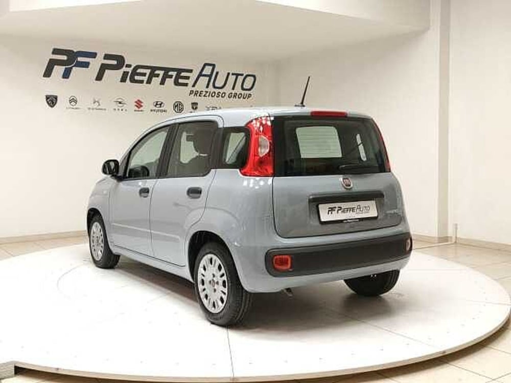 Fiat Panda usata a Teramo (3)
