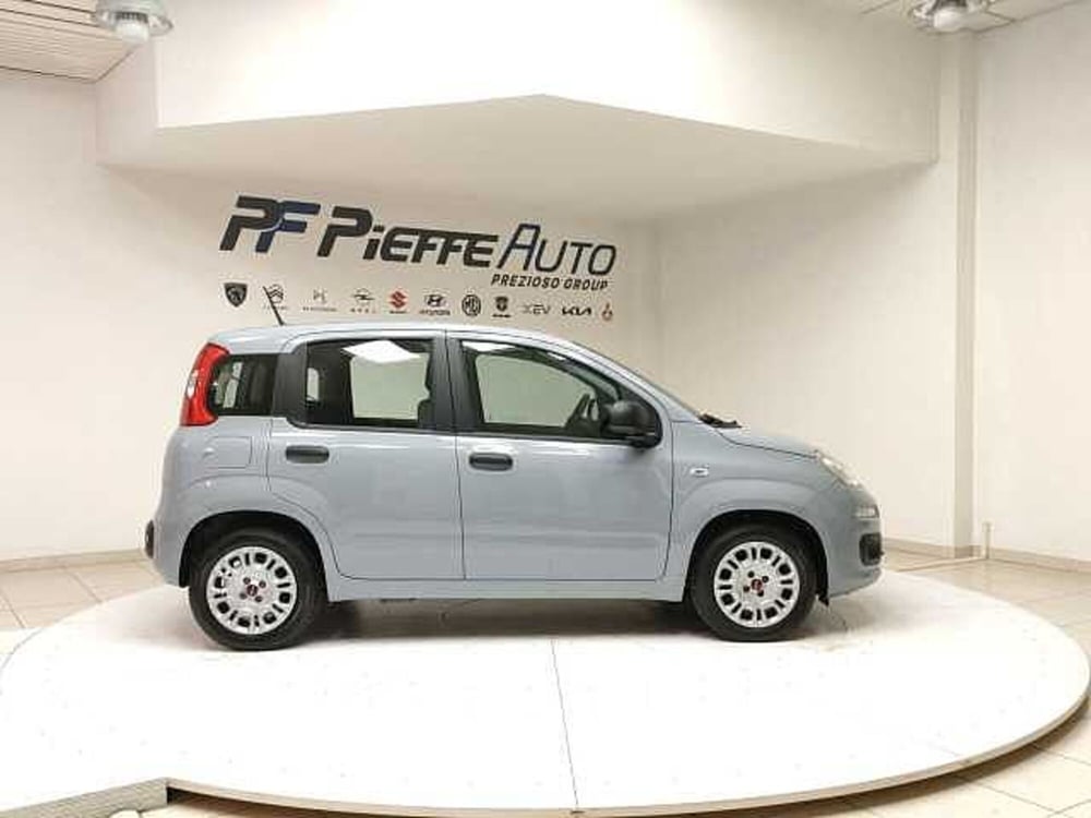 Fiat Panda usata a Teramo (5)