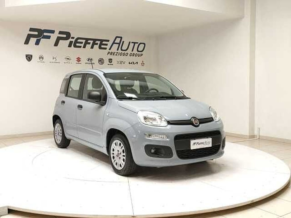 Fiat Panda usata a Teramo (6)
