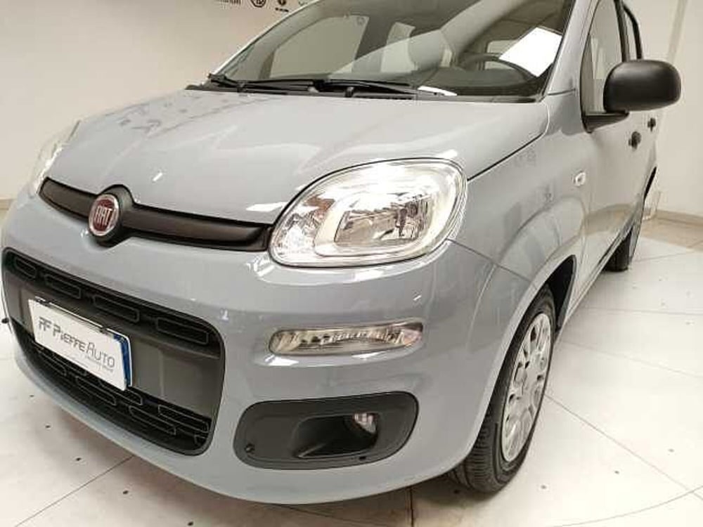 Fiat Panda usata a Teramo (8)