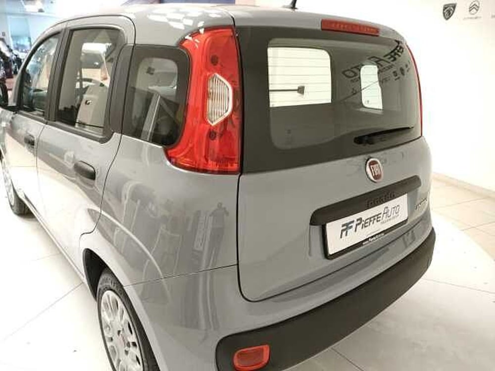 Fiat Panda usata a Teramo (9)