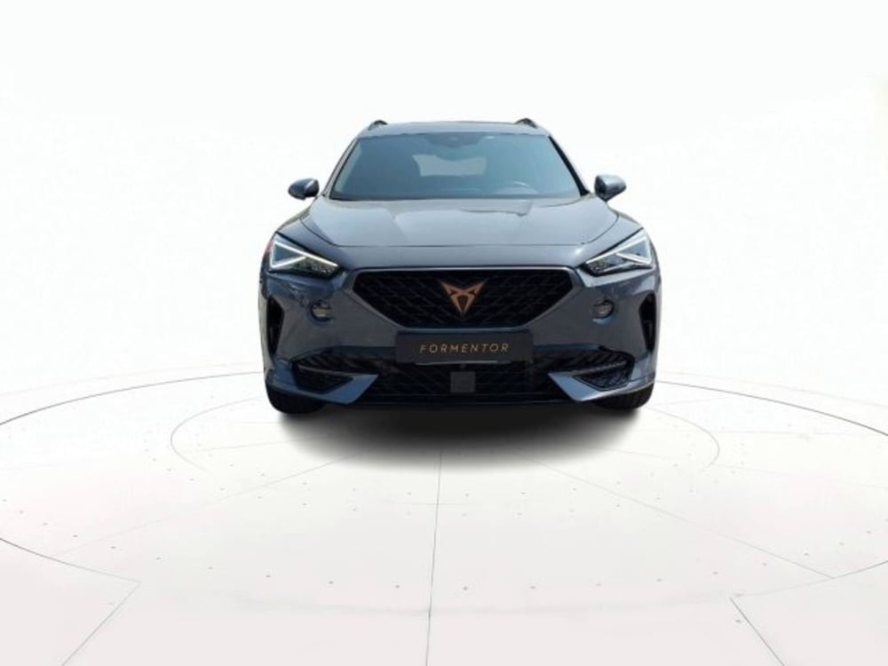 Cupra Formentor usata a Vicenza (2)