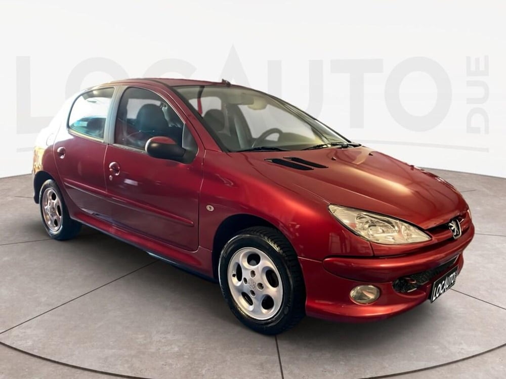 Peugeot 206 usata a Torino (2)