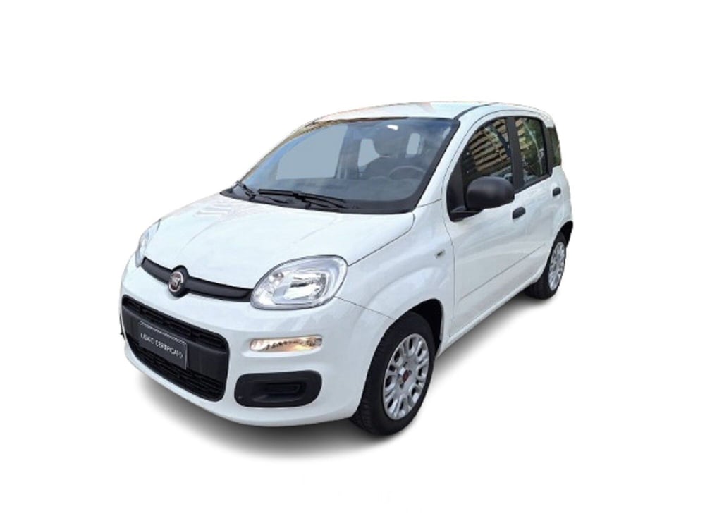 Fiat Panda usata a Bari