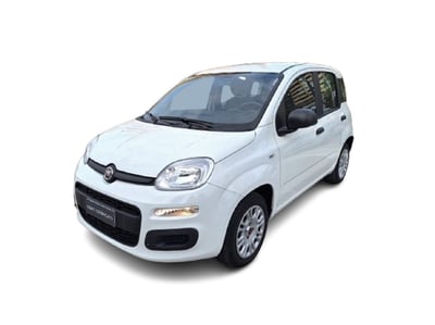 Fiat Panda 1.2 EasyPower Easy del 2019 usata a Bari