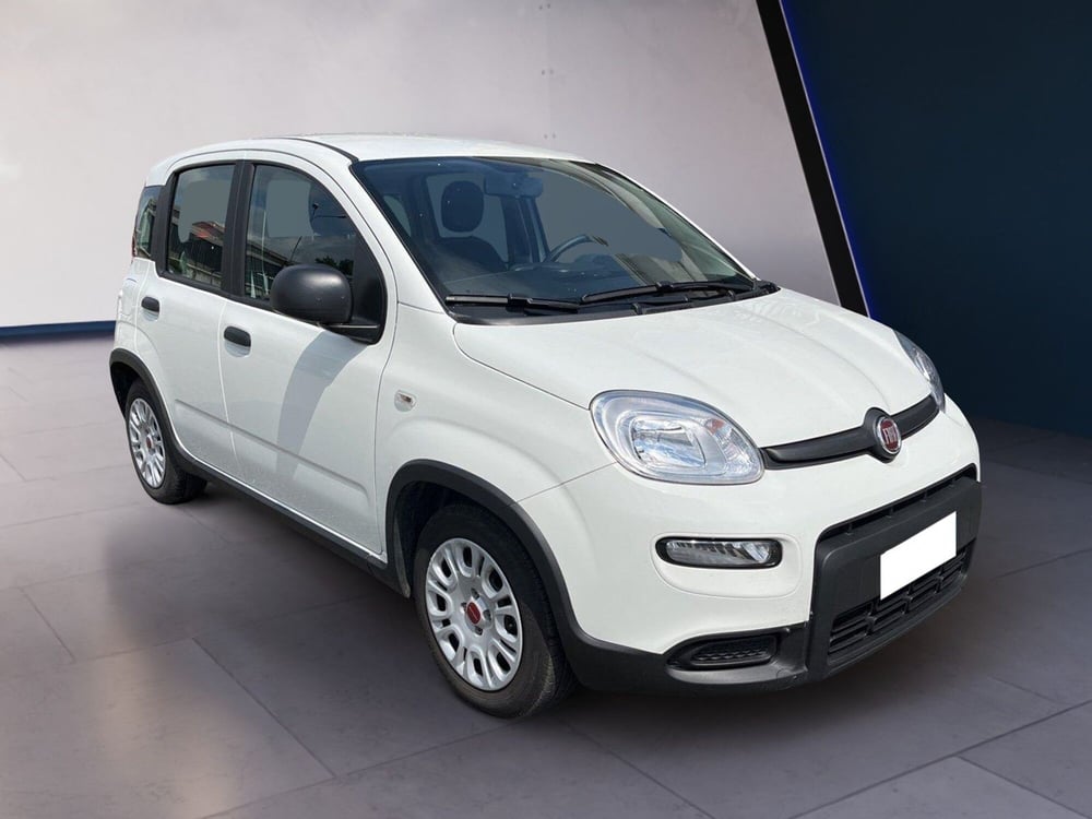 Fiat Panda usata a Torino (3)